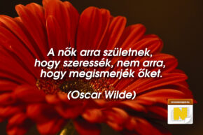 Nőnapi idézet: A nők arra születtek, hogy szeressék, nem arra, hogy megismerjék őket.